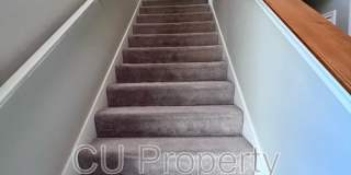 14 Parsley - 1 Gallery 12