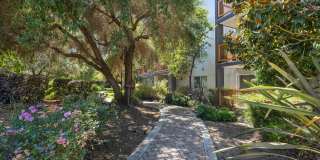 CitySouth Gallery 41