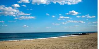 Buena Vista Gallery 2