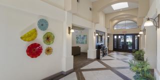 Noble Park Apartments Gallery 6