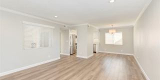 29135 Via Cerrito Gallery 8