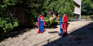 Halstead Providence Gallery 36