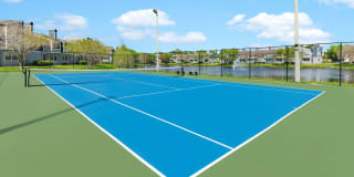 Fairways at Feather Sound Gallery 26