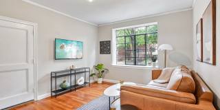 Cameron Court & Shelton Gallery 6