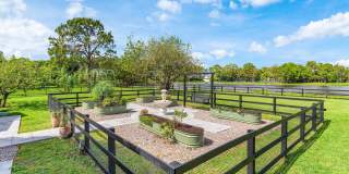 11173 Manatee Gallery 7