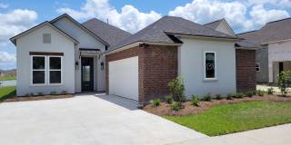 Beautiful 4 bedroom home in Baton Rouge Gallery 1