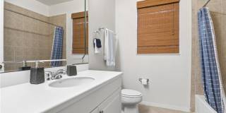 12040 Matera Ln Gallery 41