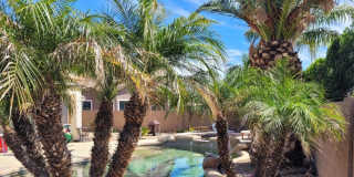 15627 West Shangri La Road Gallery 38