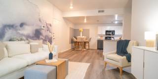 Palmera on 3009 Gallery 2