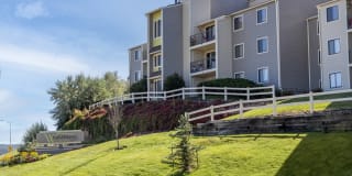 Whispering Hills Gallery 1