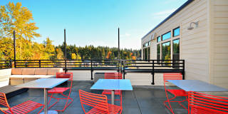 Emerald Crest Gallery 16