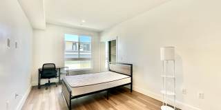 Barry Diamond Gallery 24