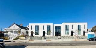 The Newton Gallery 1