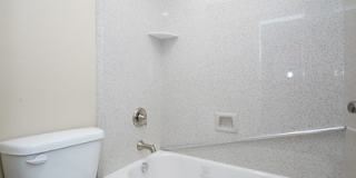 Thornhill Park Gallery 8