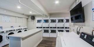 Legacy Pines Gallery 25