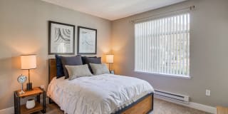 Woodland Meadow Gallery 28