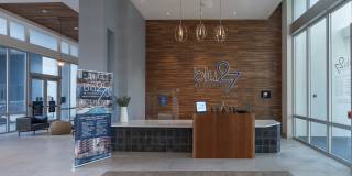 Blu27 at Edgewater Gallery 42