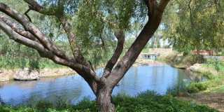 12344 W ALYSSA Lane Gallery 44