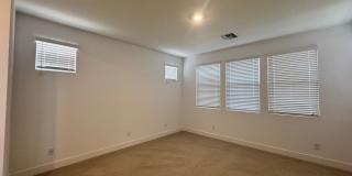 BRAND NEW HOME IN ALORAVITA IN PEORIA Gallery 24