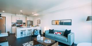 Eleanor Eleanor Gallery 15