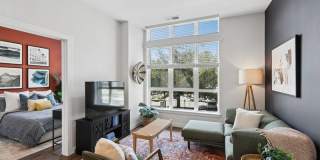 Alta 801 Gallery 4