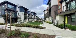 250 Waters Park CIR Gallery 2