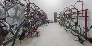 The Collection Gallery 13