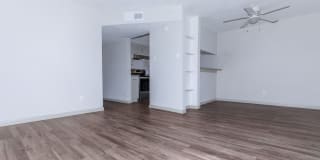 The Shore Gallery 17