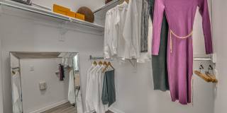 Vue Live Oak Gallery 13