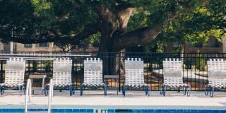 The Grove at Ardsley Park Gallery 9