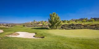 1000 N Wide Open Trail Gallery 81