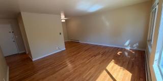 Angeline Gallery 20