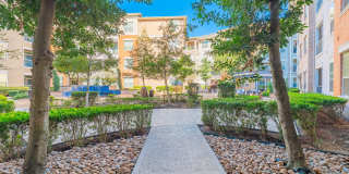 Domain at Kirby Gallery 69