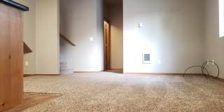 551e14 Gallery 11