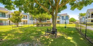 College View Apartments Gallery 39