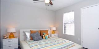 LP1 Research - #762 Gallery 10