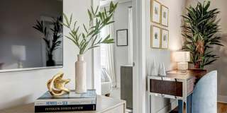 City Limits Apartments Gallery 9