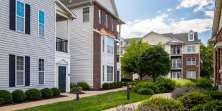 Avalon Garden City Gallery 47