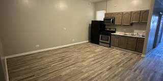 4254 South Cottage Grove Avenue - 1Unit 2 Gallery 1