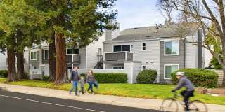 Canyon Creek Gallery 1