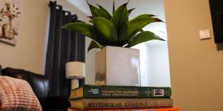 Brand New Home Walking distance to Spooky Nook Gallery 4