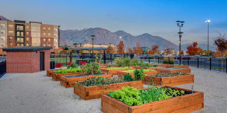 The Aston at University Place Gallery 33