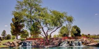 42348 W FOUNTAINHEAD Street Gallery 52