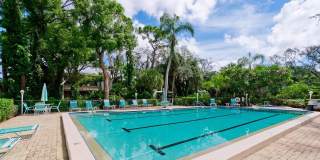 401 PALM TREE Drive Gallery 41