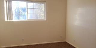 Oakterr Gallery 12