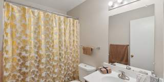 Grove at Alban Gallery 30