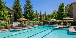 Rolling Oaks Gallery 1