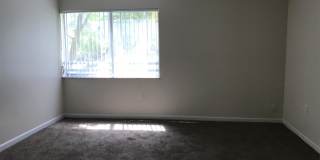 701 North Pine Island Rd #202 Gallery 26