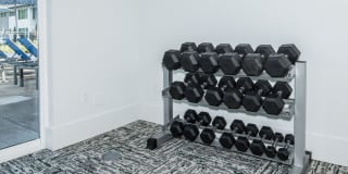 The Groves Gallery 5