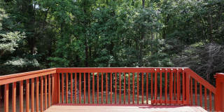 8306 Hornwood Court Gallery 33
